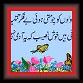 card1bb 01 * 389 x 290 * (32KB)